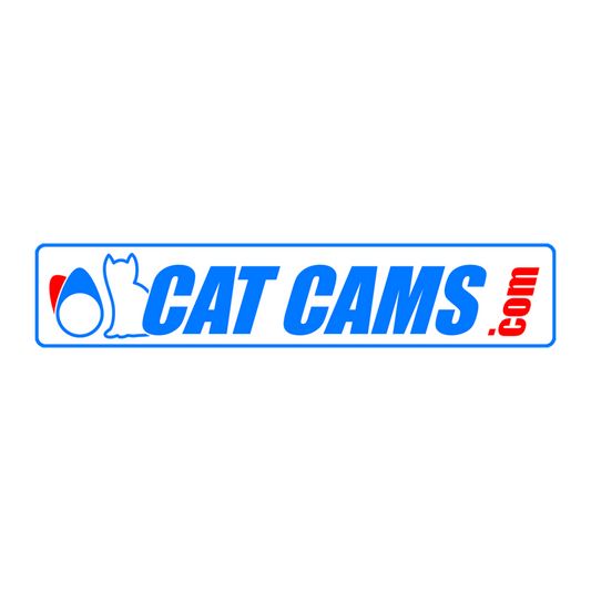 CAT CAMS Ein- und Auslass- Nockenwelle VW | 1.6L | 8V | 296° | 7640296